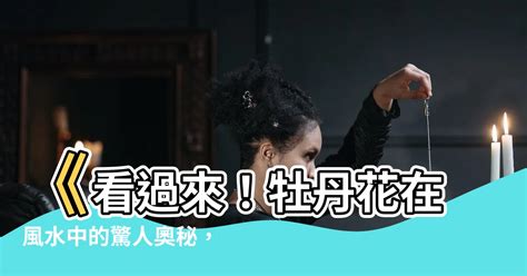 牡丹花風水|【牡丹 風水】《看過來！牡丹花在風水中的驚人奧秘，影響錢財。